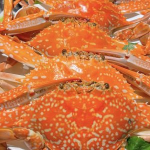 Nhà hàng Mắt Á - 114 P. Nguyễn Văn Tuyết - Đống Đa - Hà Nội