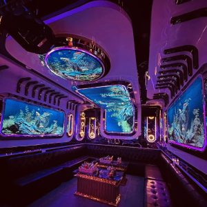 Quán - Queen Bee { CLUB } KARAOKE - 167 Tây Sơn - Đống Đa - Hà Nội - âm nhạc chất lượng cao 0949967786