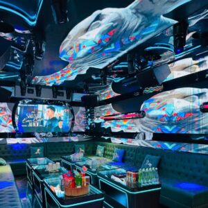 Karaoke A999 Club, VIP - Số 51 Nguyễn Hoàng, Mỹ Đình 2, Nam Từ Liêm, TP, Hà Nội