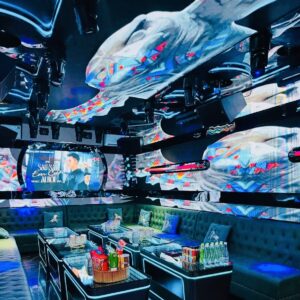 Quán S2 Karaoke Club - 103 Mai Hắc Đế, Hai Bà Trưng, Tp, Hà Nội, 0902935988